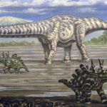 Cientistas descobrem dinossauro com pescoço 3 metros mais longo que um ônibus | Mundo & História