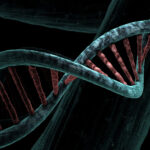 Que tal assinar um 'streaming' sobre você? Teste de DNA traz resultados semanais | Mundo & História