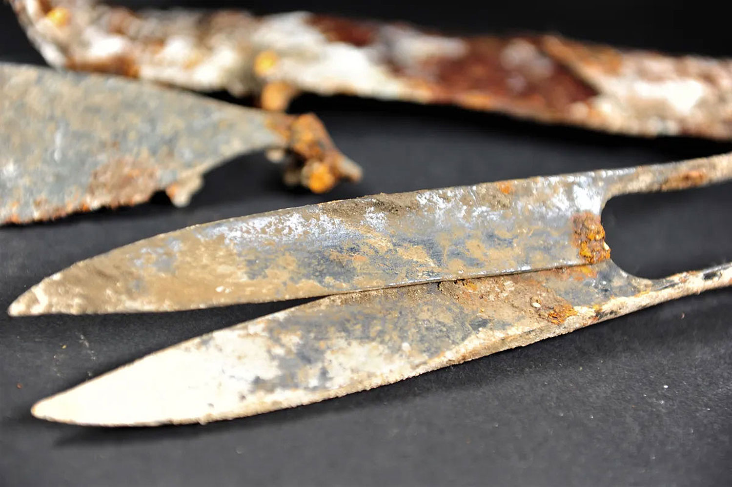 Arqueólogos encontram tesoura de 2,3 mil anos em tumba celta em Munique | Mundo & História