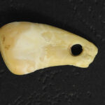 DNA aponta possível dona de pingente de 20 mil anos | Mundo & História