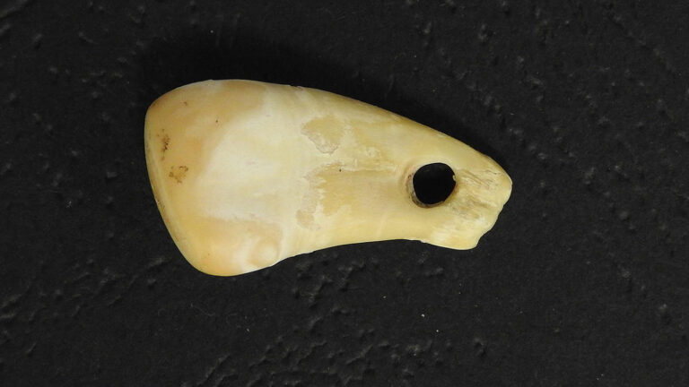 DNA aponta possível dona de pingente de 20 mil anos | Mundo & História