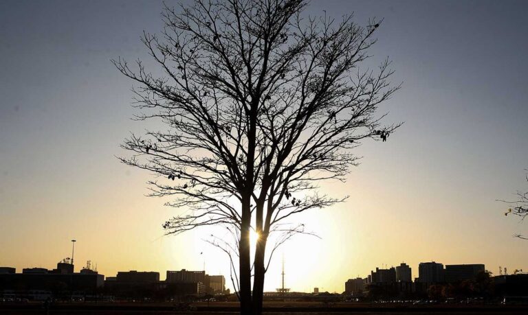 Temperaturas globais devem subir a níveis recordes nos próximos anos | Mundo & História