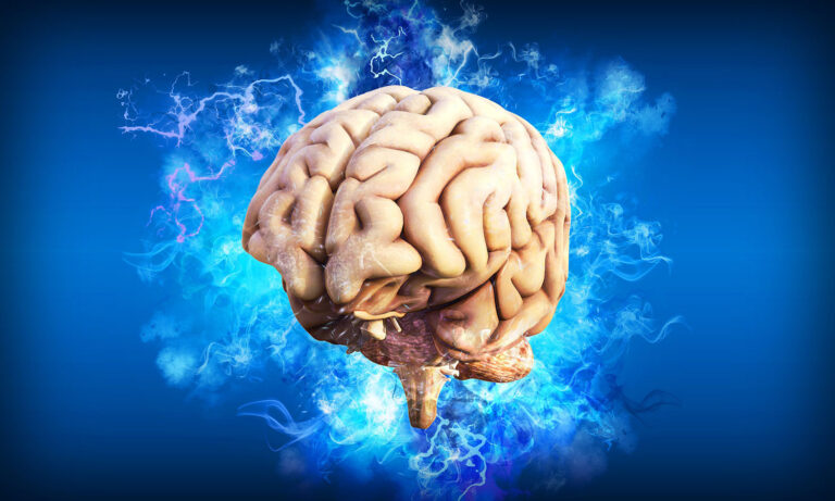 Cientistas brasileiros rejuvenescem neurônios humanos em 30 anos | Mundo & História