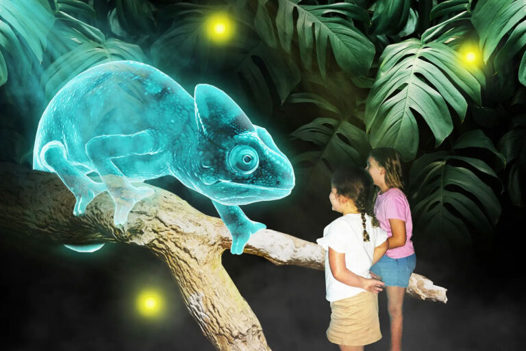 Divulgação / Hologram Zoo