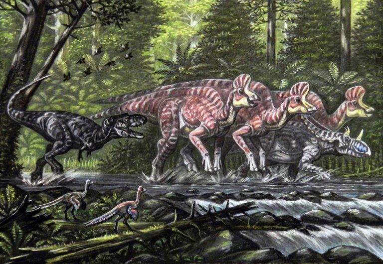 Fósseis revelam 'última refeição' de primo do Tiranossauro Rex | Mundo & História