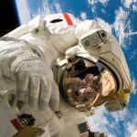 Museu do Amanhã: astronautas e animais estão entre temas de novas exposições | Mundo & História