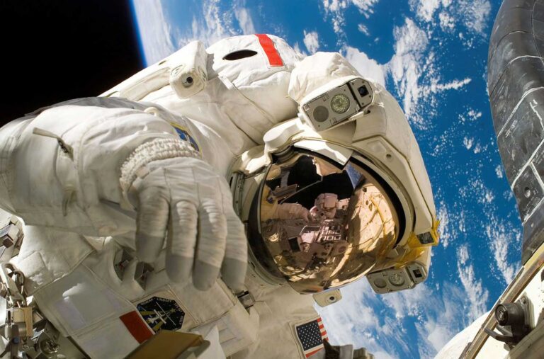 Museu do Amanhã: astronautas e animais estão entre temas de novas exposições | Mundo & História