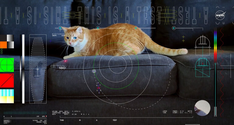 NASA transmite vídeo de gato para a Terra usando laser | Mundo & História