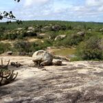 Caatinga tem o maior número de incêndios em uma década | Mundo & História