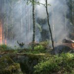 Crise climática pode causar 14,5 milhões de mortes até 2050 | Mundo & História