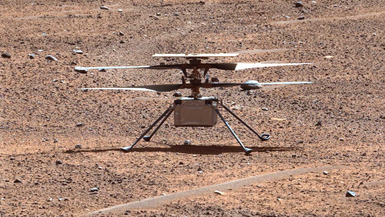 Ingenuity deixa de funcionar após quase três anos em Marte | Mundo & História