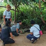 Quatro novos sítios arqueológicos são descobertos em Marajó, no Pará | Mundo & História