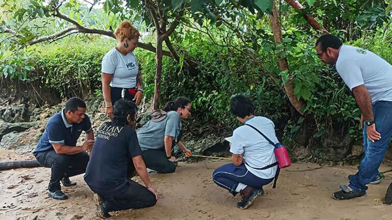 Quatro novos sítios arqueológicos são descobertos em Marajó, no Pará | Mundo & História