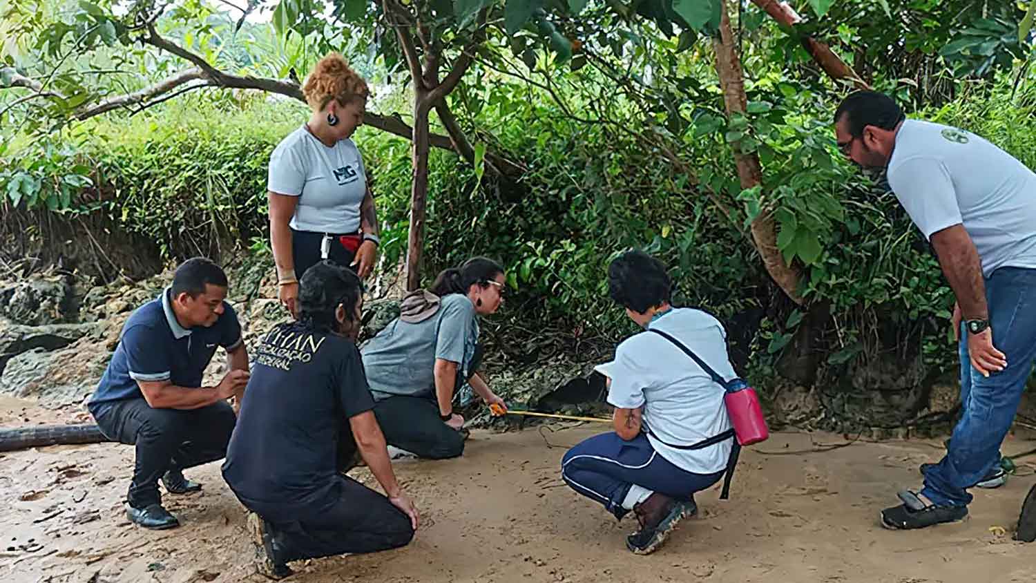 Quatro novos sítios arqueológicos são descobertos em Marajó, no Pará | Mundo & História