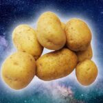 Sementes de batata expostas ao espaço entram em estágio de plantio experimental | Mundo & História