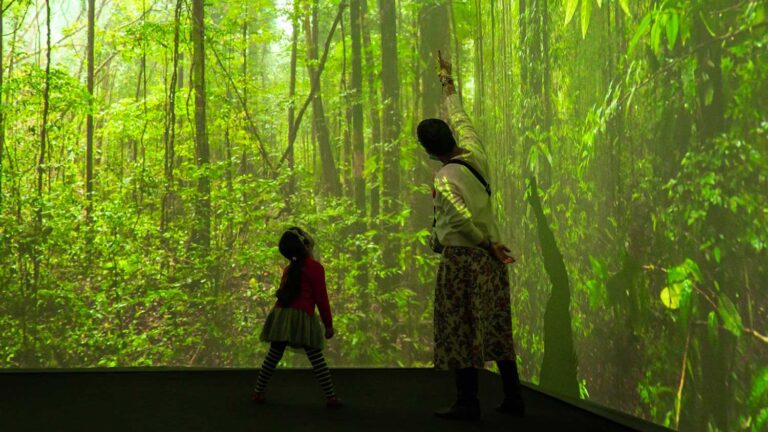 Sentir Mundo: exposição imersiva mostra habitat e vida de insetos | Mundo & História