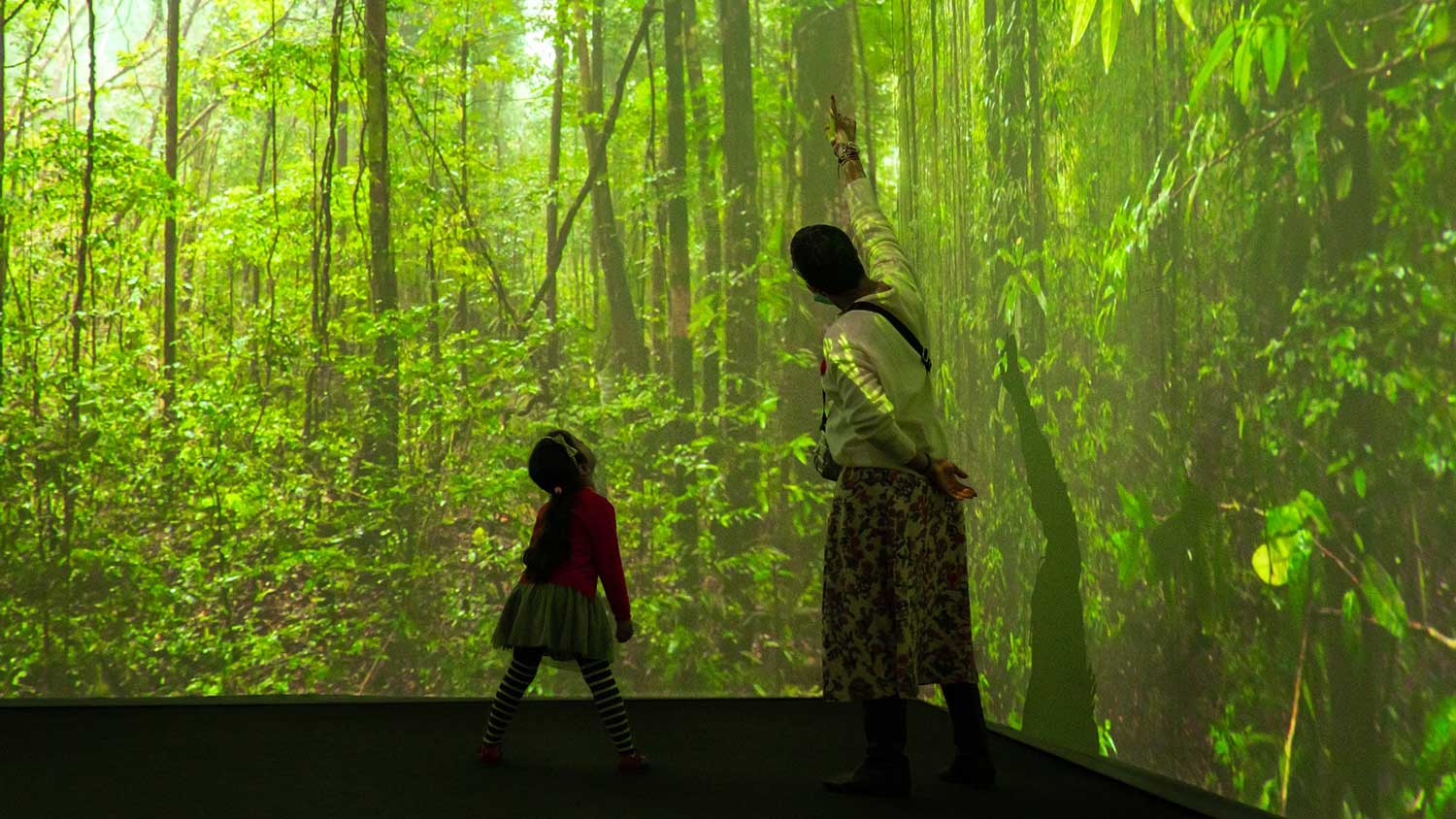 Sentir Mundo: exposição imersiva mostra habitat e vida de insetos | Mundo & História