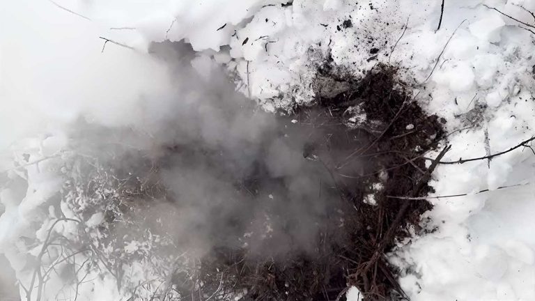 Incêndios zumbis: o fenômeno do fogo na neve que preocupa o Canadá | Mundo & História