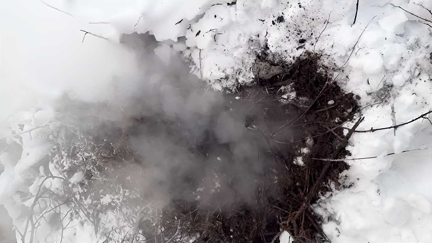 Incêndios zumbis: o fenômeno do fogo na neve que preocupa o Canadá | Mundo & História