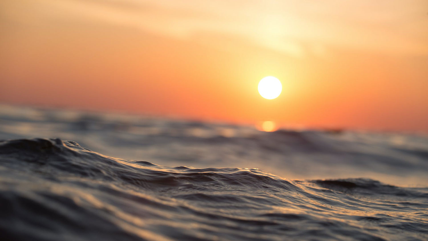 Mundo supera 1,5ºC de aquecimento em um ano pela 1ª vez | Mundo & História