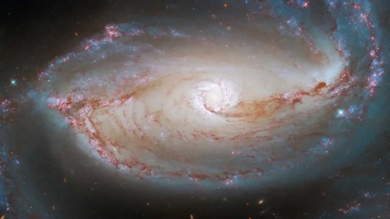 Nova missão da NASA irá estudar o céu ultravioleta | Mundo & História