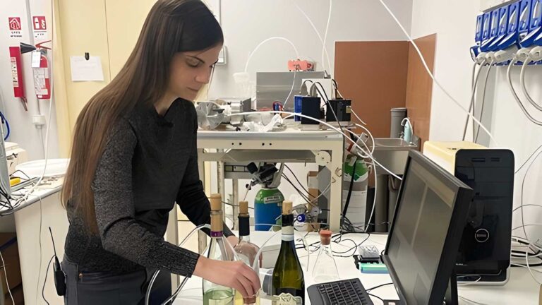 Pesquisa italiana cria 'nariz eletrônico' que identifica vinhos | Mundo & História