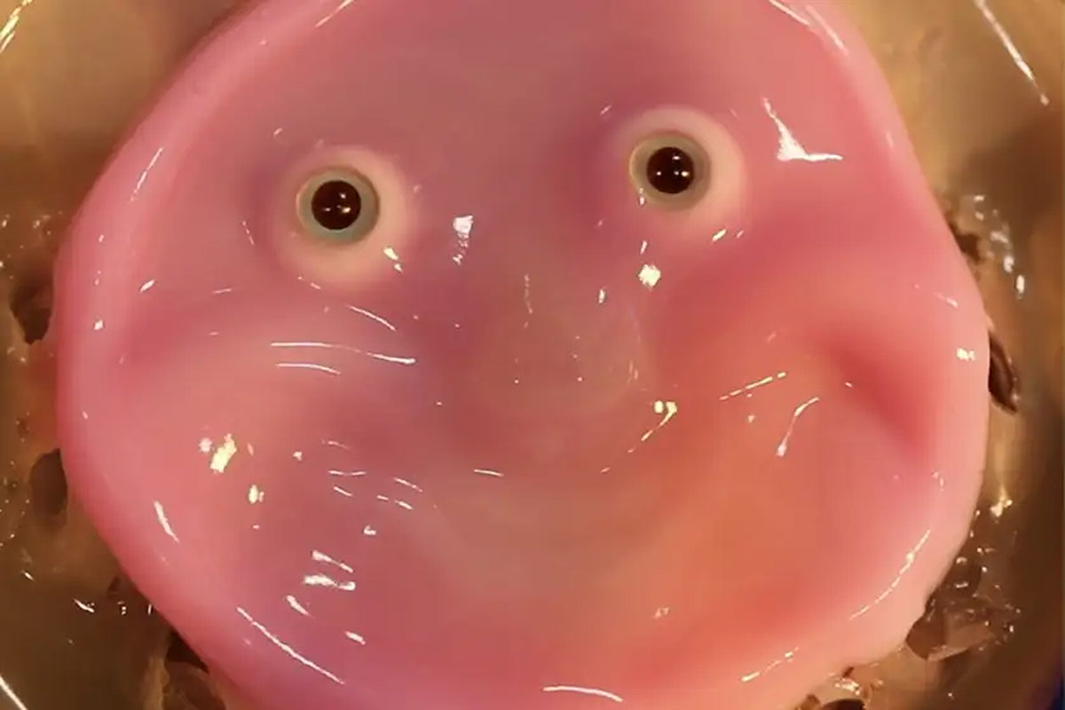 Robô ganha rosto com pele viva criada em laboratório | Mundo & História