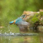 UFRJ desenvolve teste rápido para detectar água contaminada | Mundo & História