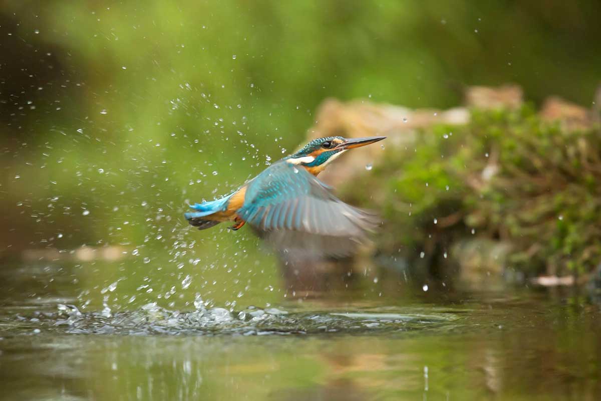 UFRJ desenvolve teste rápido para detectar água contaminada | Mundo & História