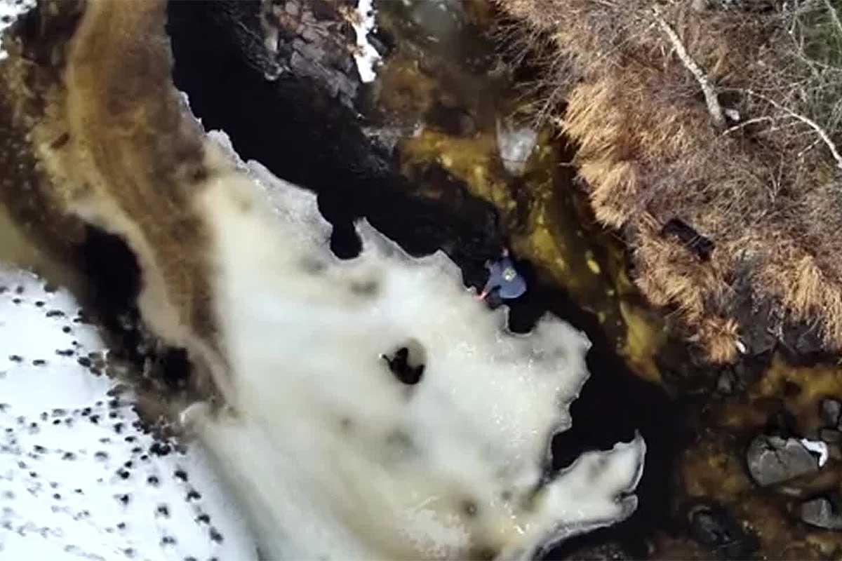 Drone térmico é usado para ajudar no resgate de cachorro nos EUA