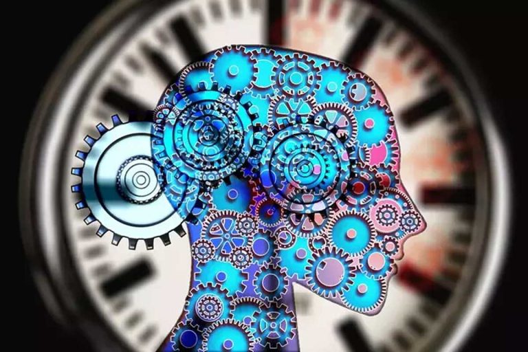 Estudo encontra genes que impulsionam envelhecimento do cérebro | Mundo & História